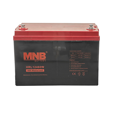 MNB Battery HRL12460W